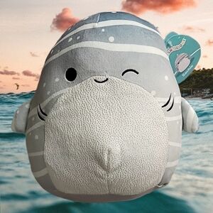 SQUISHMALLOW 8" SACHIE Gray Striped Whale Shark Little Plush New With Tags